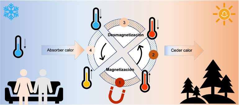 Ciclo magnético