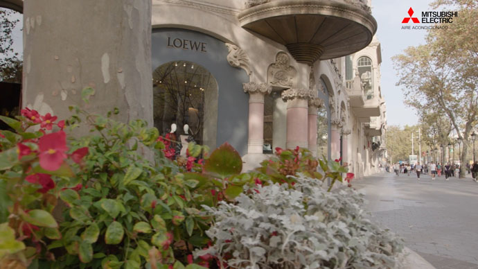 Tienda Loewe