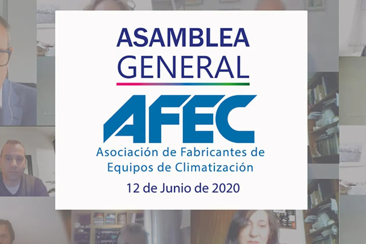 Asamblea General AFEC 2020