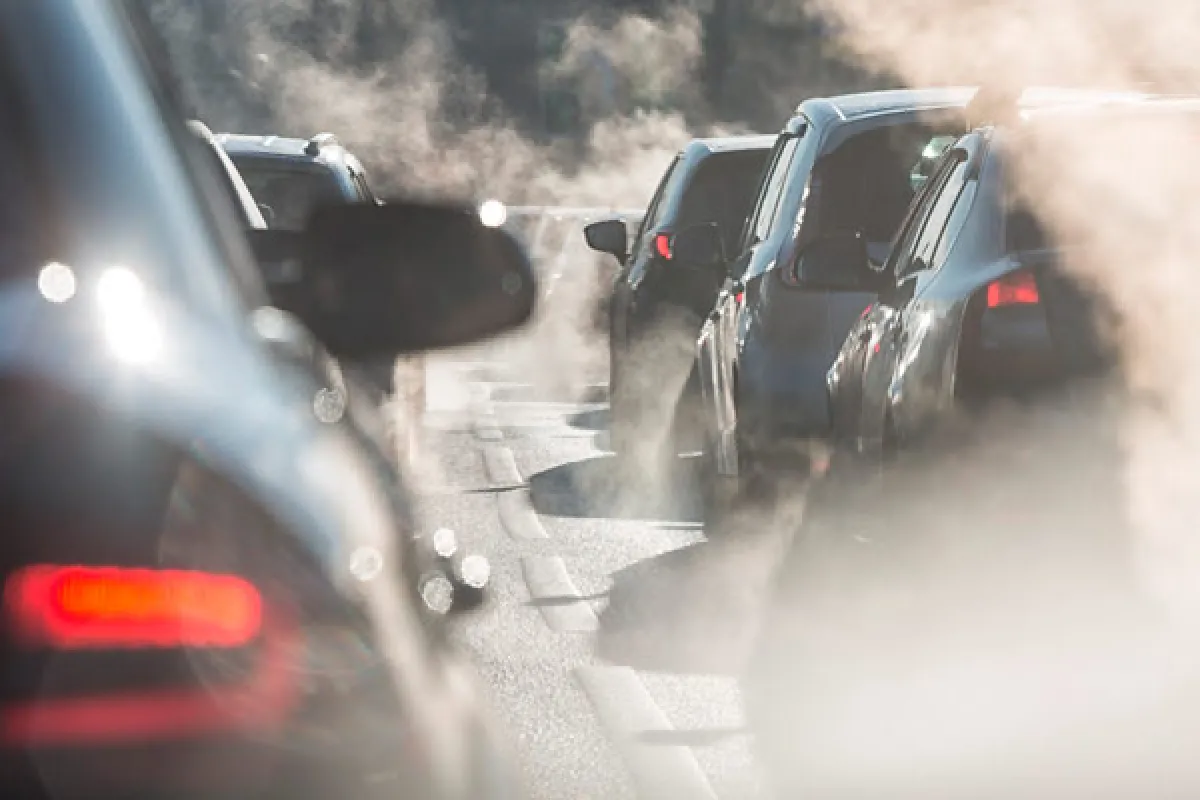 Contaminación