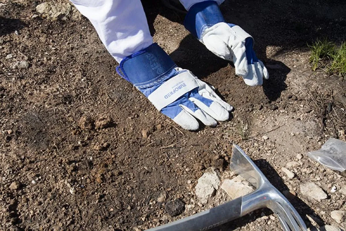 Eurofred continúa con su política medioambiental para 2017