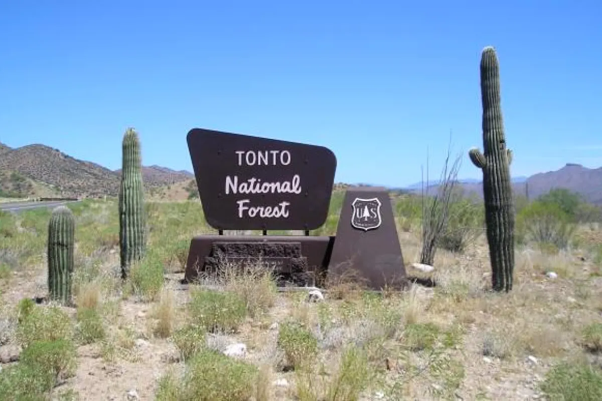 Tonto National Forest