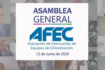 Asamblea General AFEC 2020