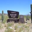Tonto National Forest